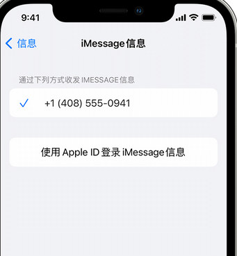 沁园街道apple维修iPhone上无法正常发送iMessage信息