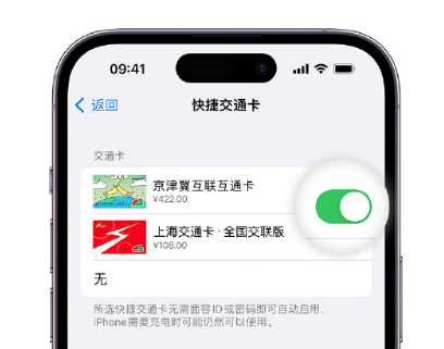 沁园街道apple维修点分享iPhone上更换Apple Pay快捷交通卡手绘卡面 