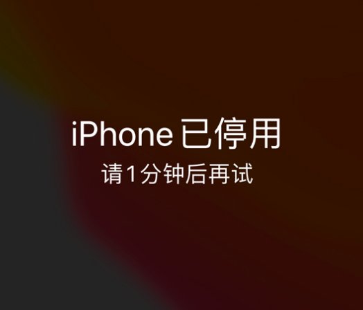 沁园街道苹果手机维修分享:iPhone 显示“不可用”或“已停用”怎么办？还能保留数据吗？ 