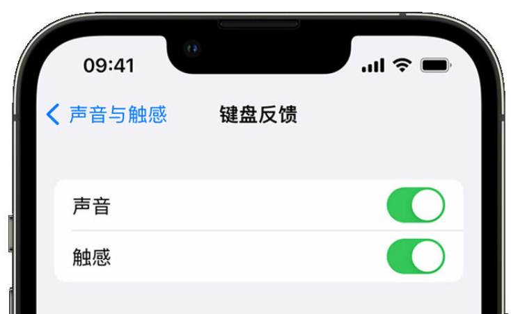 沁园街道苹果手机维修分享iPhone 14触感键盘使用方法 