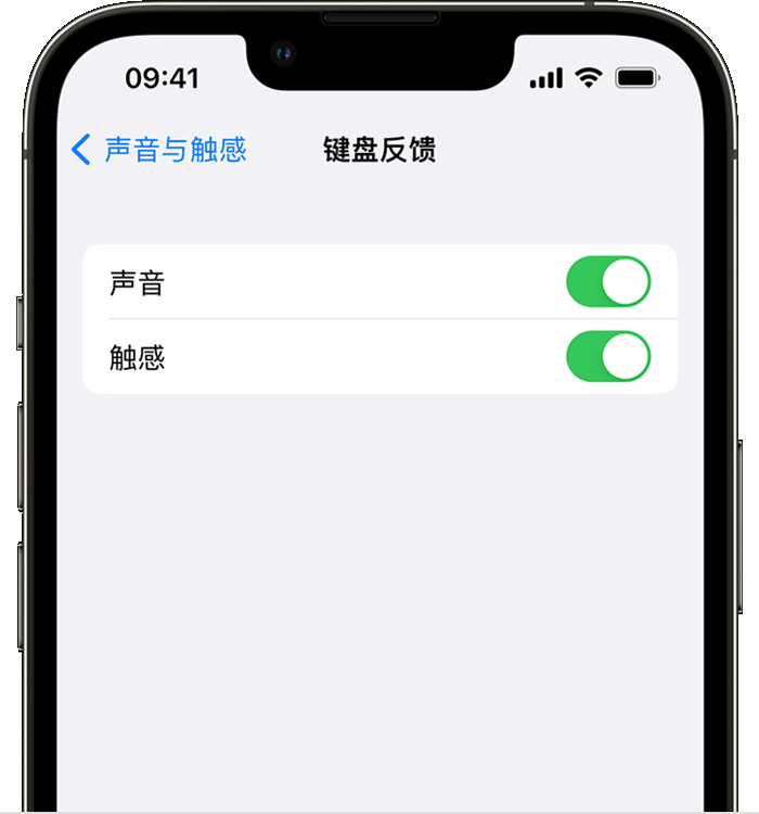 沁园街道苹果14维修店分享如何在 iPhone 14 机型中使用触感键盘 