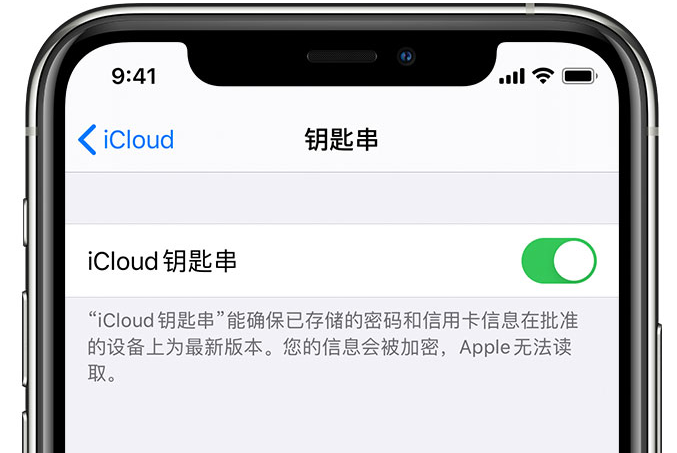 沁园街道苹果手机维修分享在 iPhone 上开启 iCloud 钥匙串之后会储存哪些信息 