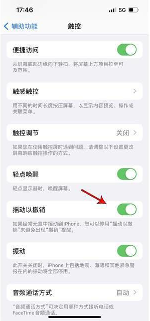 沁园街道苹果手机维修分享iPhone手机如何设置摇一摇删除文字 