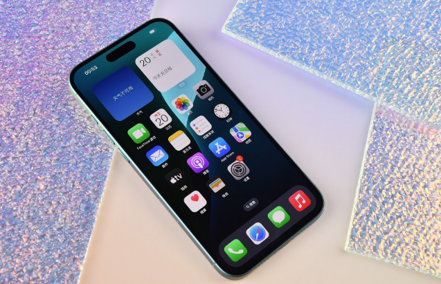 沁园街道苹果手机维修分享为什么大家不喜欢苹果iPhone 16 Plus 