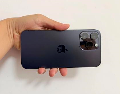 沁园街道苹果维修点分享iPhone 14 Pro Max发烫多重诱因剖析 